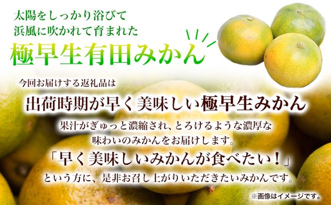 ＜先行予約＞家庭用 極早生有田 みかん 4.5kg+135g（傷み補償分）【 YN26・ゆら早生 】【わけあり・訳あり】池田鹿蔵農園（池田農園株式会社）《2024年9月中旬-11月中旬頃出荷》和歌山県 日高町 みかん 有田みかん 完熟 厳選【配送不可地域あり】---wsh_idn42_9c11c_24_9000_4500g---