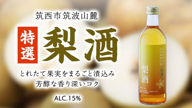 【 特選 】 梨酒 アルコール 15％ （ 500ml × 1本 ） 果実酒 お酒 酒 梨 なし ナシ [DP007ci]