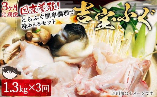 【3ヶ月定期便】国産養殖！とらふぐ簡単調理で味わえるセット 吉宝ふぐ 1.3kg×3回 ふぐ 河豚 フグ とらふぐ トラフグ 鍋 ふぐ鍋 熊本県 上天草市【2024年10月下旬から2025年4月上旬発送開始】