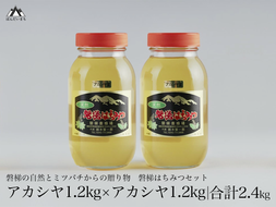 国産純粋はちみつ 天然 農林水産大臣賞 磐梯はちみつ 1200g［瓶］ はちみつセット