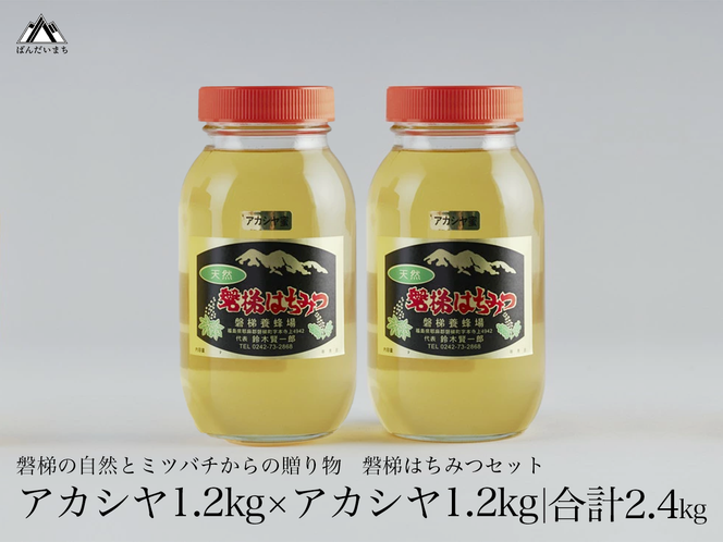 国産純粋はちみつ 天然 農林水産大臣賞 磐梯はちみつ 1200g［瓶］ はちみつセット