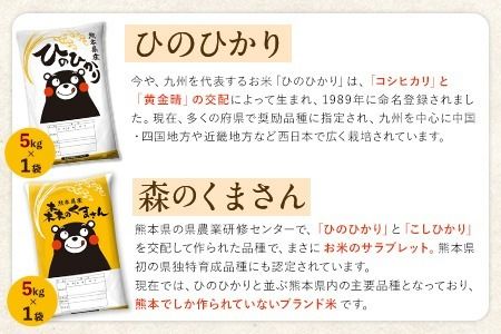  令和5年産 無洗米 特A受賞品種 ひのひかり 森のくまさん 米 送料無料 計 10kg 食べ比べ ヒノヒカリ 厳選 熊本県産(長洲町産含む) 10キロ 5kg×2袋 米 お米 森くま 10kg ブランド米 《7-14営業日以内に出荷予定(土日祝除く)》熊本県 長洲町---ng_mkhinomu5_24_12500_10kg_wx---