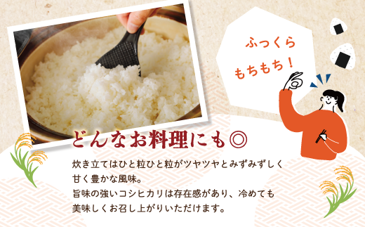 R6-148．【令和6年産新米・早期受付】四万十のこしひかり5kg【2024年9月より順次配送】