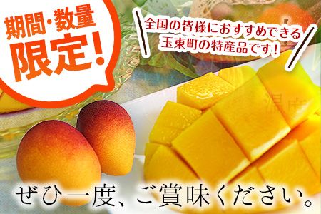 くまもと完熟マンゴー 2～3玉(約1kg～1.2kg前後) 熊本県玉名郡玉東町『清田ファミリー農園』マンゴー 完熟 秀品【日付指定不可】《5月下旬-8月末頃出荷》---sg_ckmango_cf58_r8_27000_1200g---