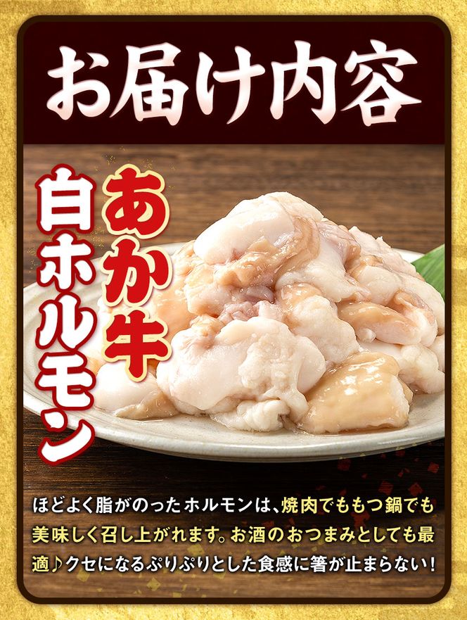 あか牛 白ホルモン 500g 五右衛門フーズ 《60日以内に出荷予定(土日祝除く)》 熊本県 大津町 牛肉 肉 国産 熊本県産 ブランド牛 絶品 贅沢 高級 あか牛 ホルモン もつ モツ もつ鍋 ---so_fgoeaksrhr_60d_24_13500_500g---