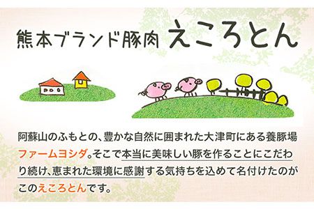 熊本県産 ブランド豚 えころとん使用 とにかく美味しいギフトセット 合計800g以上 一般社団法人すまいる ワークプレイス絆 《90日以内に出荷予定(土日祝除く)》 味噌豚 とんかつ コロッケ えころとん ギフト 豚肉---so_fkizuna1_90d_22_13500_800g---