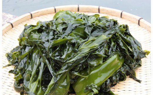 国東半島の天然お刺身わかめ（1㎏）_051Z