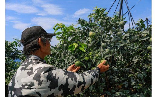 【先行予約】【数量限定】＼農園直送／愛媛県産早生みかん5kg×1箱（家庭用）｜柑橘 みかん 温州みかん ミカン 蜜柑 果物 フルーツ 愛媛県産 ※2024年11月中旬頃～12月上旬頃に順次発送予定