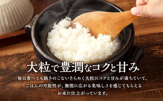 【令和6年産米】空舞米 新之助 5kg 新潟県 村上市 岩船産 しんのすけ 精米 白米 産地直送 お米 こめ コメ 1063005