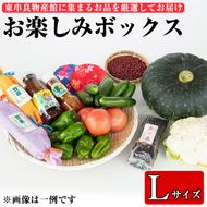 【10810】東串良物産館のおたのしみBOX-Lサイズ！【東串良物産館】