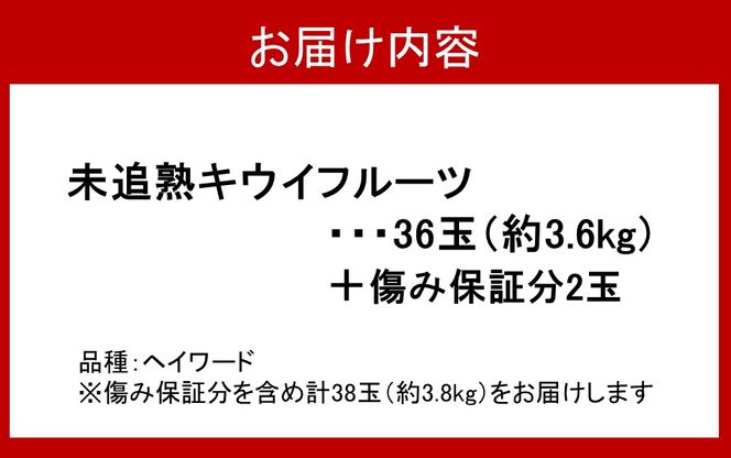 未追熟 キウイフルーツ 36玉（約3.6kg）_2302R