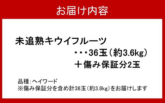 未追熟 キウイフルーツ 36玉（約3.6kg） + 傷み保証分2玉（約200g）_2302R