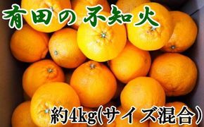 【濃厚】有田産不知火約4kg（M～3Lサイズ混合）★2025年2月上旬頃より順次発送      BZ103