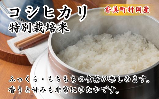 【先行予約 令和7年産米】【香美町 村岡産 コシヒカリ 特別栽培米 精米10kg】令和7年10月以降順次予定 米 こめ コメ こしひかり コシヒカリ 送料無料 兵庫県 香美町 35000円 71-02