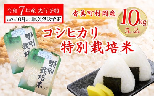 【先行予約 令和7年産米】【香美町 村岡産 コシヒカリ 特別栽培米 精米10kg】令和7年10月以降順次予定 米 こめ コメ こしひかり コシヒカリ 送料無料 兵庫県 香美町 35000円 71-02