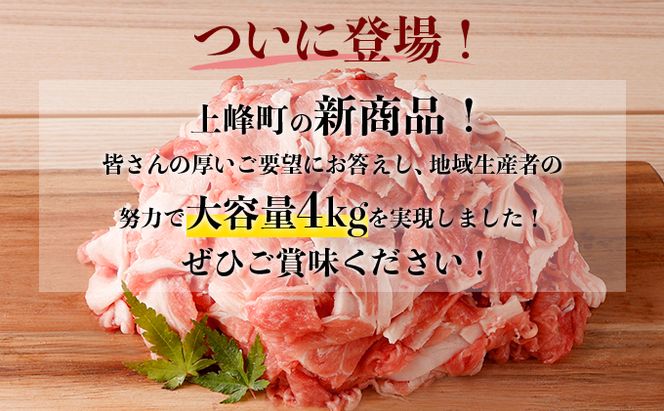 《合計4kg！！》九州産 豚こま切れ 4kg（500g×8パック） B-893-AS