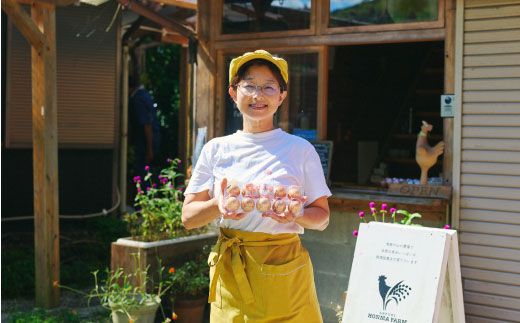 おひさまプリン10個セット 【スイーツ 平飼い 無添加 有精卵 ミルン牧場 牛乳 プリン県 プリンマップ】(H073109)