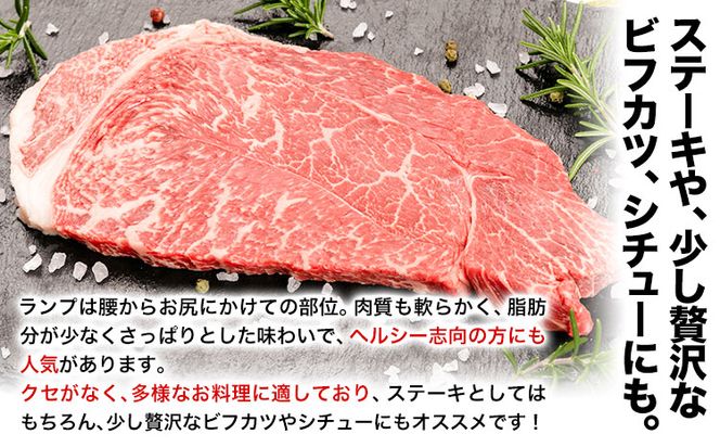 熊野牛 赤身ステーキ(ランプ) 計600g(200g×3枚)(粉山椒付) 澤株式会社(Meat Factory)《30日以内に出荷予定(土日祝除く)》 和歌山県 日高町 熊野牛 牛 うし 牛肉 赤身 ステーキ ランプ 山椒 送料無料---wsh_fswam34_30d_24_34000_600g---