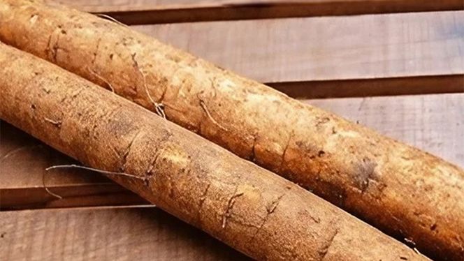 あじかん焙煎ごぼう茶　プレミアムブレンドごぼうのおかげ（2g×30包入り）×1袋[AB001us]