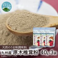 天然のうま味調味料「九州産原木椎茸粉」40g×3袋 N0155-YZA0189