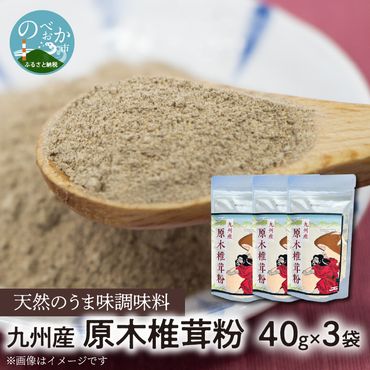 天然のうま味調味料「九州産原木椎茸粉」40g×3袋　N0155-ZA0189