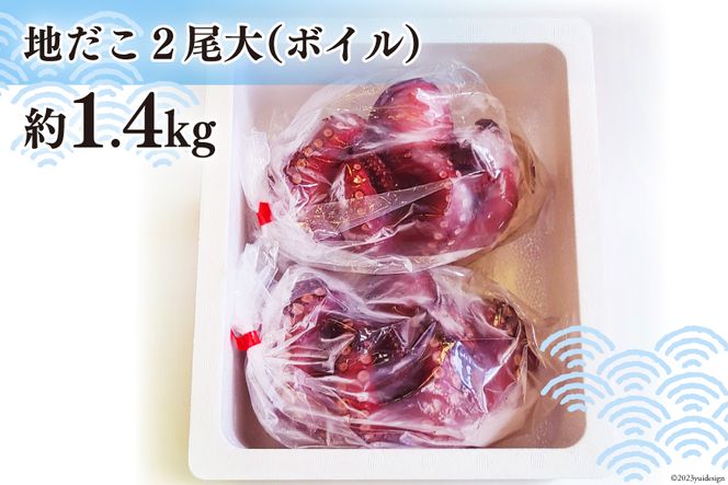 CB044 長崎産 地だこ2尾(約1.4kg)