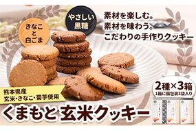 くまもと 玄米クッキー 2種×3箱(1箱に3袋入) 株式会社阿蘇自然の恵み総本舗 《30日以内に出荷予定(土日祝除く)》熊本県 大津町 クッキー 玄米 きなこ ごま 黒糖 スイーツ お菓子 菊芋 FSSC22000取得---so_asmgk_30d_23_11500_3p---