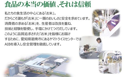 愛知県産あいちのかおり 10kg ※6回定期便　こめ コメ ごはん 安心安全なヤマトライス 米 白米 国産 精米 10キロ　H074-694