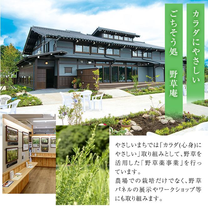 isa426 野草滋養餃子「母の手」(計45個・15個×3P)【やさしいまち】