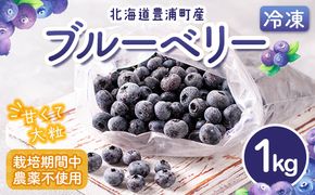 北海道 豊浦町産 冷凍 ブルーベリー 1kg 栽培期間中農薬不使用 TYUS019