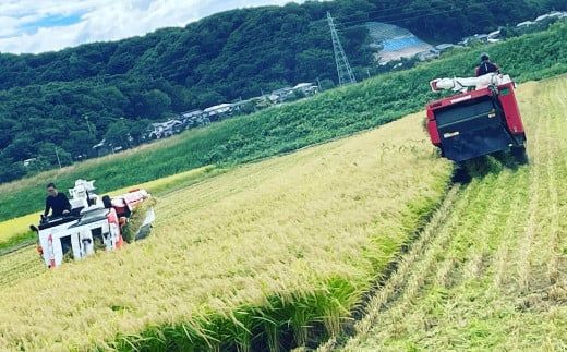 【新米受付・令和7年産米】空舞米 新潟県岩船産 コシヒカリ 精米 12kg 1063001N