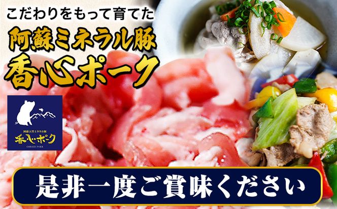 香心ポーク 香心ポーク切り落とし 約4kg 有限会社コーシン《30日以内に出荷予定(土日祝除く)》 熊本 大津町 切り落とし 豚肉 豚---so_fksnkirio_30d_23_45500_4kg---