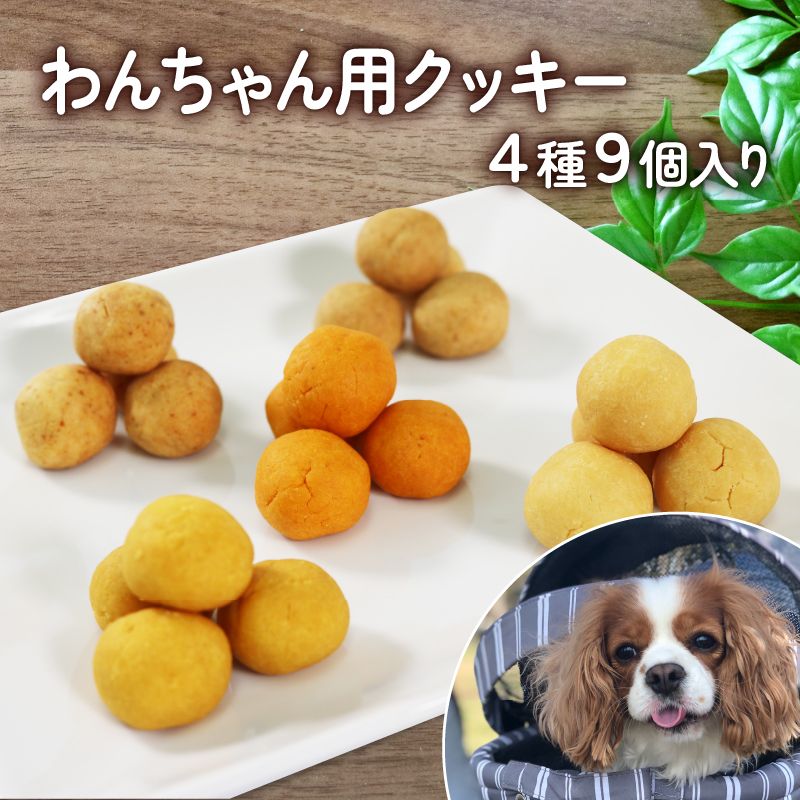 ワンちゃん用 クッキー アソートセット 4種類 36個 犬 イヌ用お菓子 イヌ用おやつ ペットフード ドッグフード [oiseau002_1]