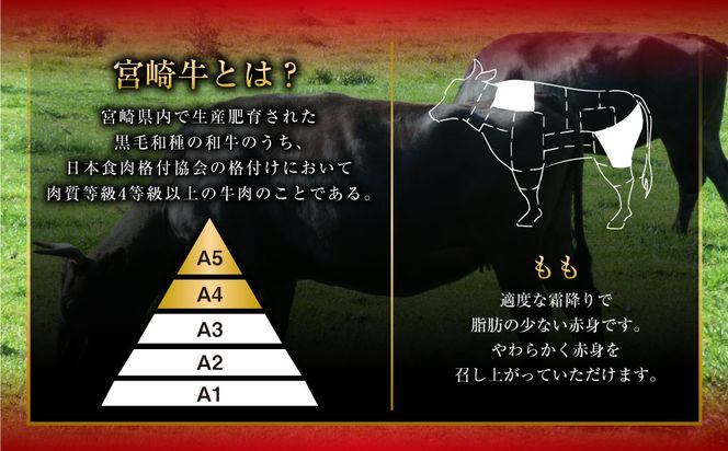 ＜みやざき和牛 すき焼き肉 1kg＞2か月以内に順次出荷します【c436_hn_x1】