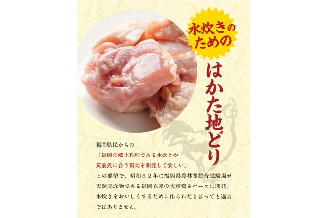 はかた地どり 美人水炊きセット 鶏肉2種 スープ 麺 コラーゲン 計5種 2～3人前 [MEAT PLUS 福岡県 筑紫野市 21760711] 水炊き セット 鶏 鶏肉 とり肉 鶏団子 福岡 博多 国産