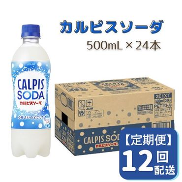 【定期便】カルピスソーダ（500mL×24本）〔12回配送〕156-002
