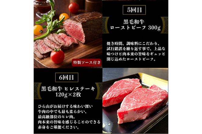 訳あり 京都府産黒毛和牛(A4・A5)人気部位 6回定期便 【焼肉・すき焼き・ステーキ2種・しゃぶしゃぶ・ローストビーフ 計2.54kg】 京の肉 ひら山 味わいづくし ≪定期便 和牛 牛肉 国産 京都 丹波産 冷凍 ふるさと納税牛肉 ふるさと納税焼肉≫