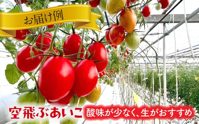 【先行予約】いろどりあざやか カラフルミニトマト 1.0kg　野菜 ミニトマト サラダ 愛西市/株式会社石原農園[AEBG001]