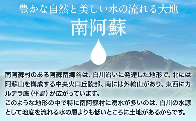 DLG7連続金賞受賞！『阿蘇の逸品』ハム・ソーセージ「熊本・阿蘇」詰め合わせ《30日以内に出荷予定（土日祝を除く）》物産館自然庵 ハム ソーセージ ウィンナー ベーコン---sms_csiznham_30d_26_47000_9i---