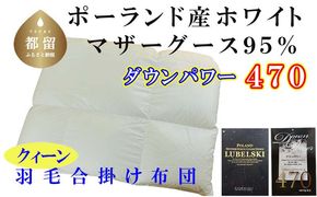 CK391 羽毛合い掛け布団ポーランド産マザーグース９５％ 合掛け クィーン220×210cm dp470