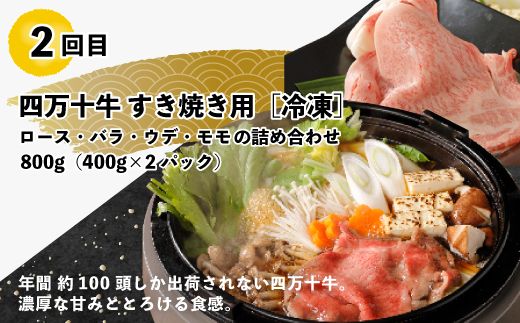 R5-769．【3回定期便】うなぎ・四万十牛・あゆ！ごちそう定期便10万円コース【第2弾】