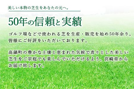 ＜高麗芝 2平方メートル＞2か月以内に順次出荷【c737_hg_x2】