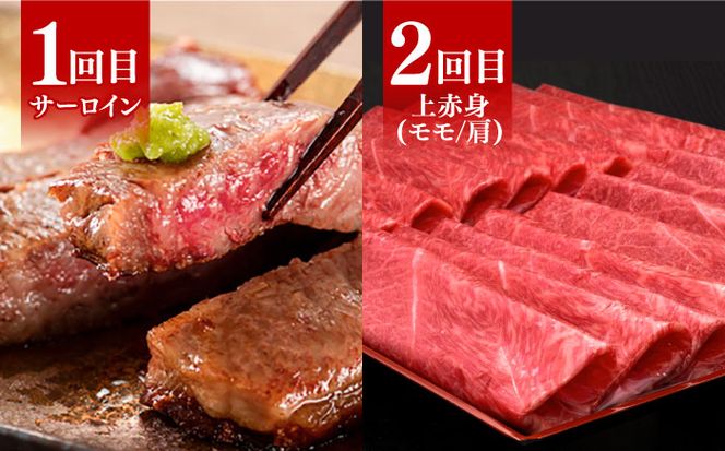 【全6回定期便】博多和牛 贅沢 食べ比べ 3人前 ( ステーキ すき焼き しゃぶしゃぶ ハンバーグ ) 《築上町》【久田精肉店】 肉 和牛 牛 精肉[ABCL156]