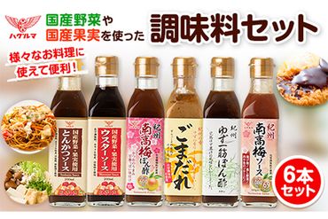 ハグルマ 国産野菜や国産果実を使った調味料セット（6本詰）《90日以内に出荷予定(土日祝除く)》和歌山県 紀の川市 ---wsk_hgcyomi_90d_22_12000_6p---