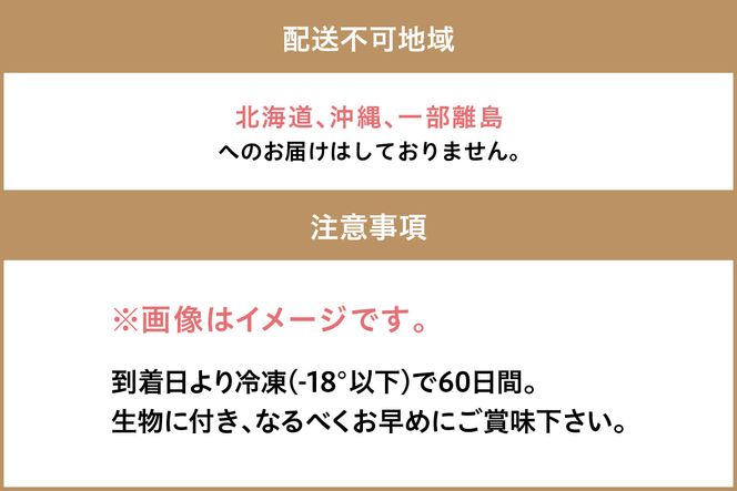 大満足！京丹後・海鮮BBQ　Bセット　貝づくし蒸しアワビ付　4種14品（3～4人前）　YK00107