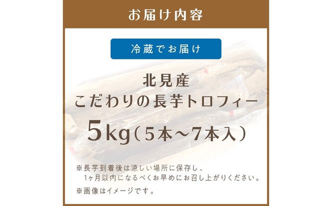 【予約：2025年11月下旬から順次発送】北見産 こだわりの長芋トロフィー 5kg箱 ( 長いも ながいも 野菜 数量限定 期間限定 5キロ )【169-0001-2025】