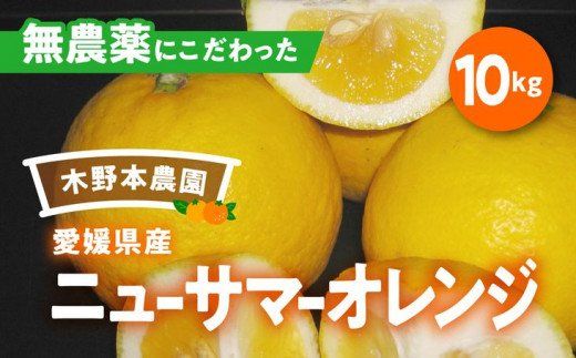 【栽培期間中農薬不使用】【先行受付】【数量限定】農園直送！愛媛県産ニューサマーオレンジ 10kg ｜ 柑橘 みかん ミカン 蜜柑 フルーツ 果物 ギフト 贈り物 栽培期間 無農薬 愛媛県産　※2025年2月中旬頃より順次発送予定