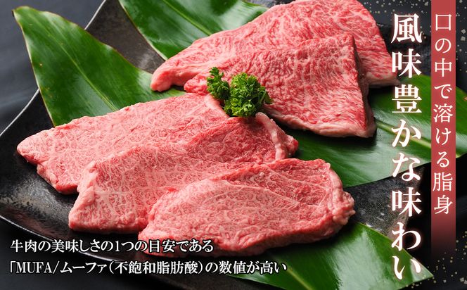 沖縄和牛　佐渡山牛ステーキ用500g（厳選！おすすめ部位）