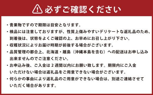 博多あまおう（冬） 約250g～270g×4パック 計約1kg～1.08kg【2024年12月上旬～2025年1月下旬発送予定】いちご 苺 イチゴ 果物 フルーツ