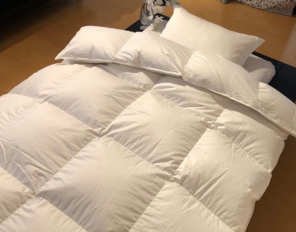 yRbszy{|zczHъ|ӂƂiZ~_uF170p×210pjCOhYzCg_E93@@[R bs HтӂƂ zc Q] BZ-23